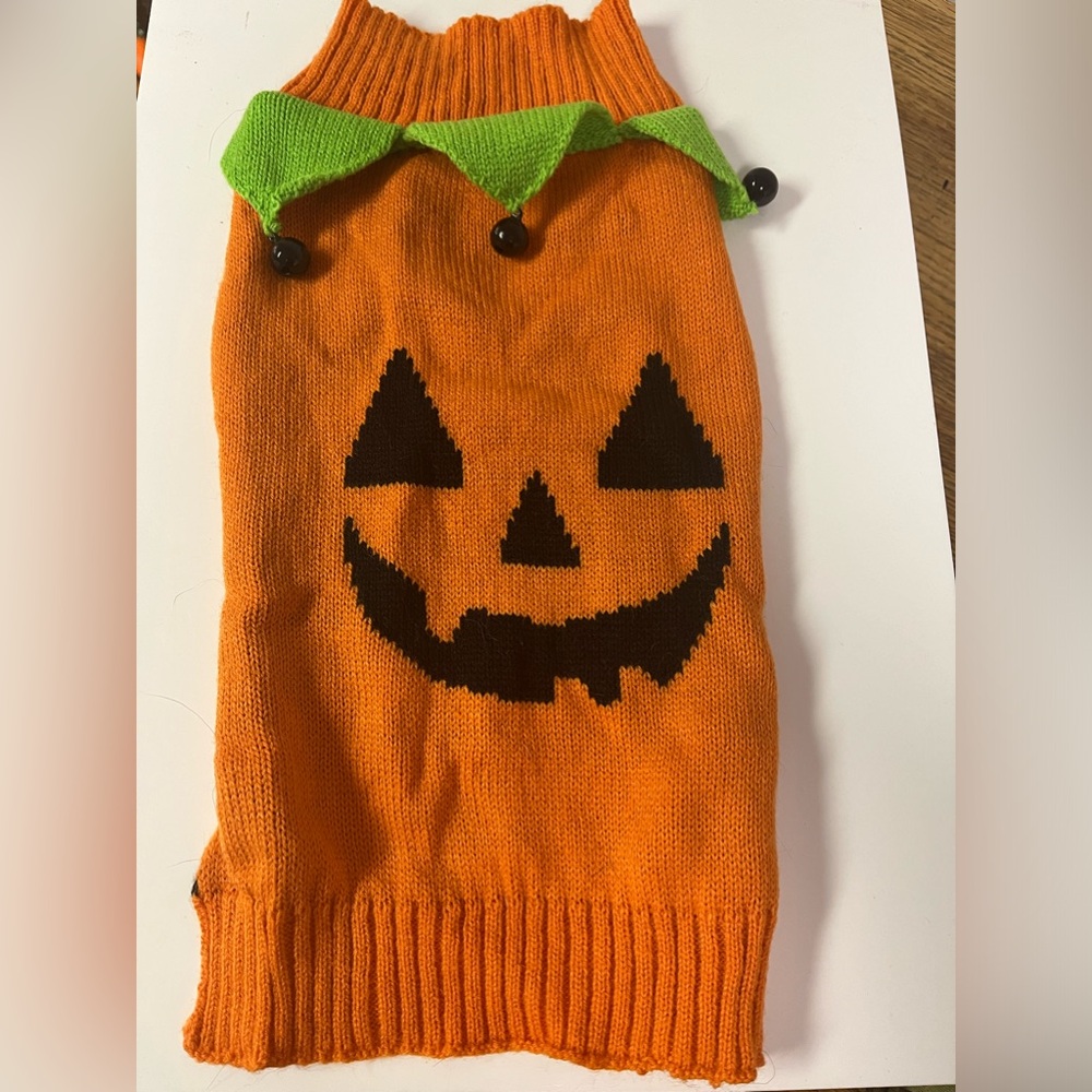 Pumpkin Dog Costume